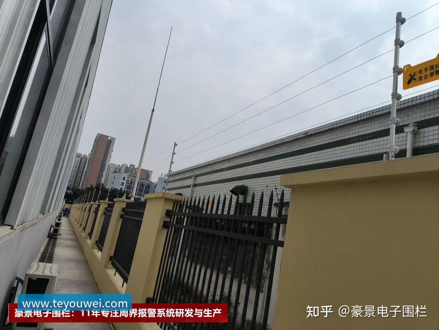 詹姆斯分享人生智慧：面对批评勇往直前才能成就卓越与自我价值
